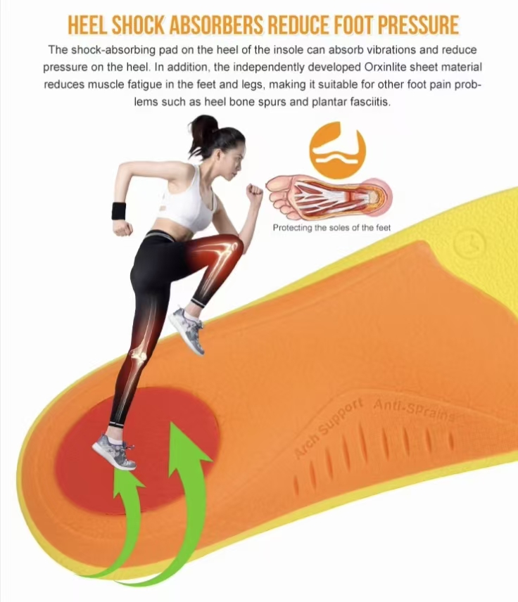 Shock-absorbing orthotics for high arches - Orxinlite heel pad with EVA arch reinforcement
